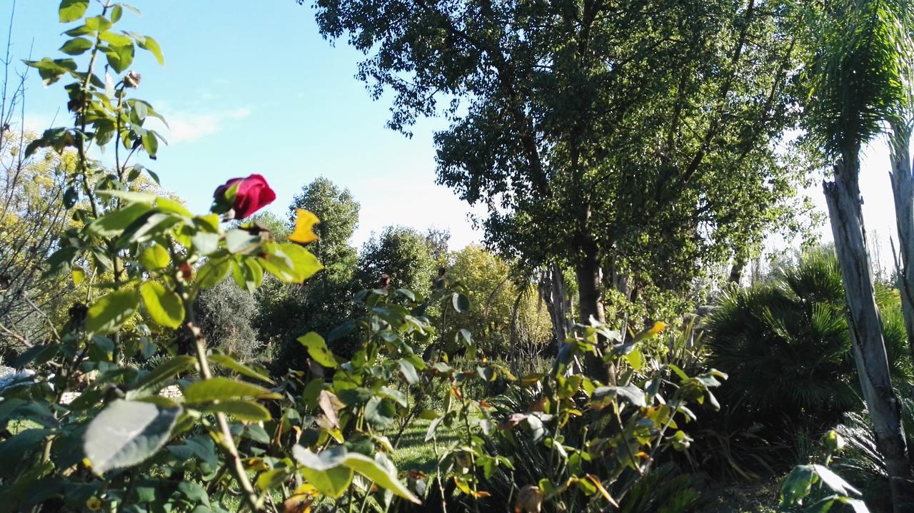 SezzeTenuta Le Pantanelle别墅 外观 照片