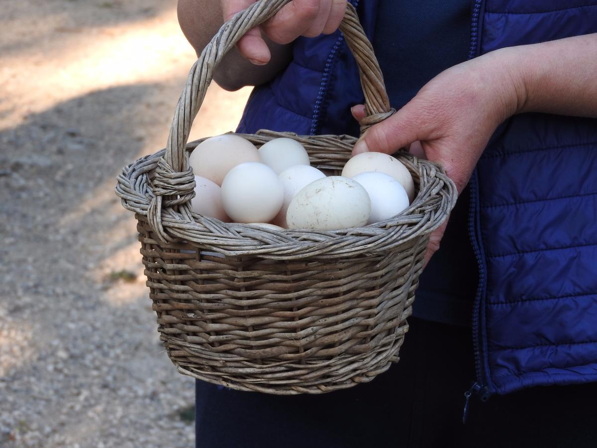 SezzeTenuta Le Pantanelle别墅 外观 照片